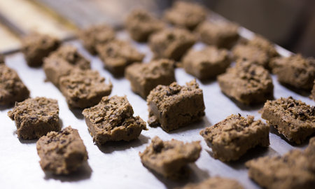 close up of unbaked free gluten cookies in bakeryの写真素材