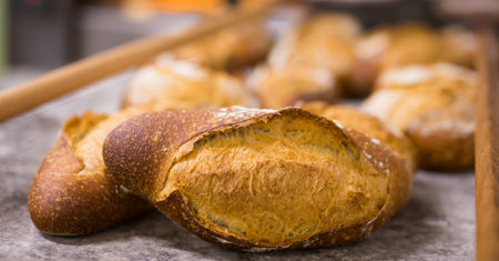 Freshly baked hot crusty bread, closeup view