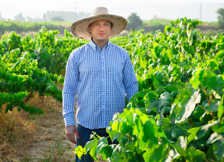 Portrait of male farmer in hat standing near grapes in vineyard at summertime