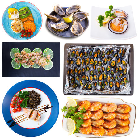 Different dishes with seafood served at plates isolated on white backgroundの写真素材