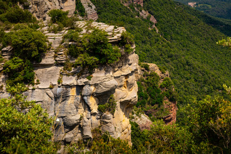 Forest cliffs in the city Tavertet area. Central Catalonia