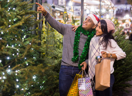 Family couple choosing christmas tree at christmas fairの写真素材