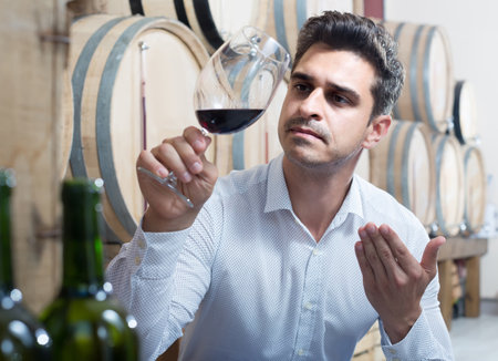 portrait of man tasting wine sample in glass in alcohol section with woodsの写真素材