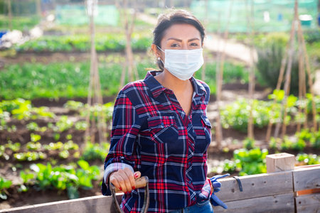 Female gardener in protective mask working in vegetable gardenの写真素材