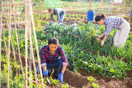 Latina woman caring for plants in garden with another worker in background