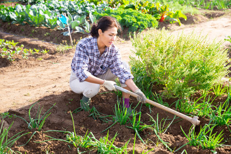 Woman working in garden with hoe in hands