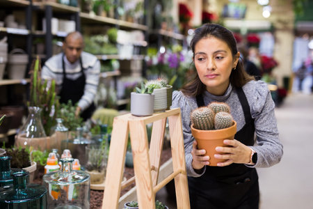 Flower shop female seller holding cactus potsの写真素材