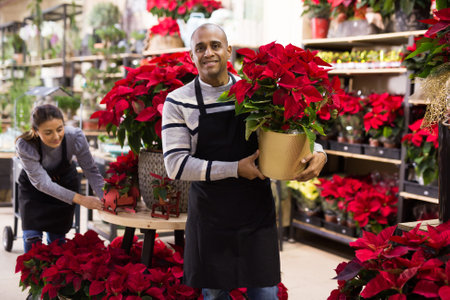 Friendly male flower shop owner offering blooming potted plants Poinsettias pulcherrimaの写真素材