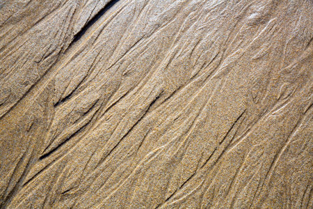 Patterns on the sand from sea water after low tide, Spainの写真素材