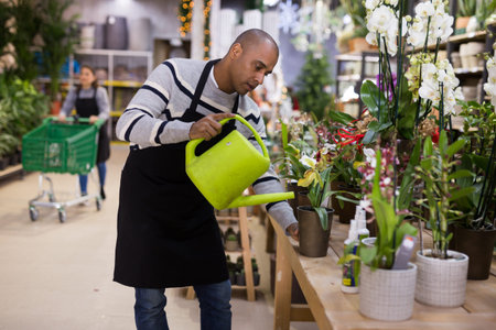Professional man florist watering flowers from plastic watering can in floral shop