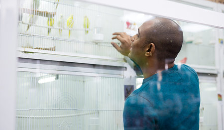 Young adult man choosing bird in shop