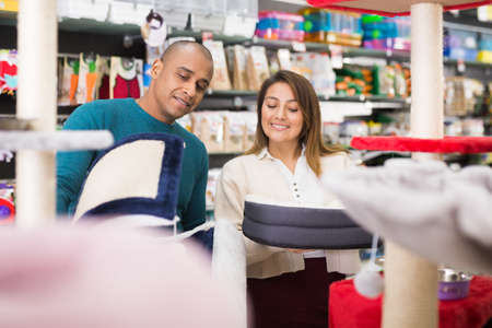 Couple choosing cat furniture supplies in shopの写真素材
