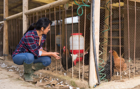 woman farmer taking care of poultry