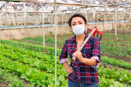 Portrait of a hispanic female farmer with a rake in a greenhouse wearing a mask during a pandemic.の写真素材