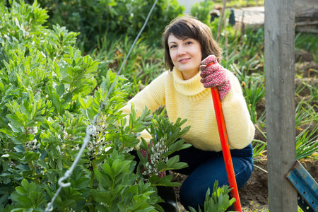 Woman working in gardenの写真素材