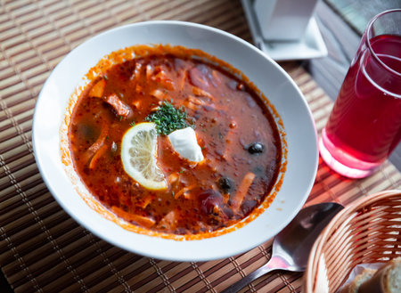Delicious meat soup solyanka on broth served with sour cream and herbsの写真素材