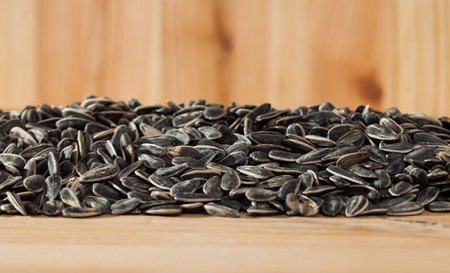 Sunflower seeds on wooden backgroundの写真素材
