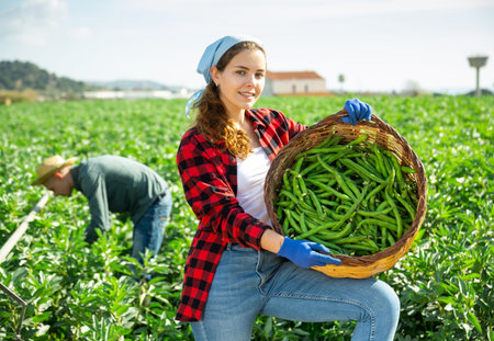 Young female farmer showing beans harvest on field