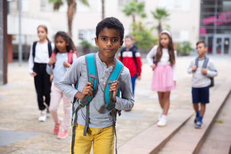 Preteen mulatto boy walking to school on autumn dayの写真素材