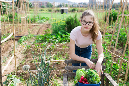 Teenage girl with freshly picked vegetables in family gardenの写真素材