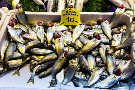 Fresh fish and seafoods on counter of Turkish market in Istanbulの写真素材