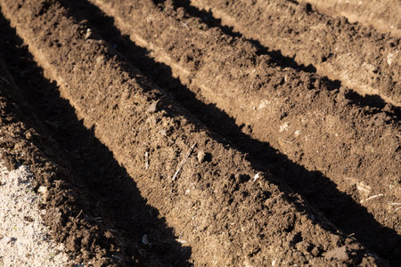 Plowed field with garden-beds in the spring