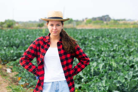 Smiling young female farmer gathering crop of broccoli on fieldの写真素材