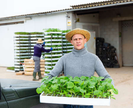 Farmer carrying cassette tray with seedlingsの写真素材