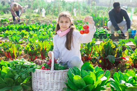 Teenage farmer girl posing with gathered vegetablesの写真素材