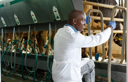 Man working at milking line