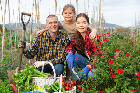 Family posing in garden with gathered vegetablesの写真素材