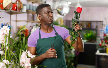 Florist arranging floral arrangementsの写真素材