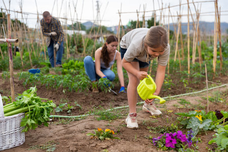 Child girl helping her parents work in vegetable garden