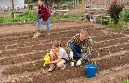 Amicable family working together on backyard garden