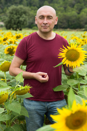 Man in sunflowers fieldの写真素材