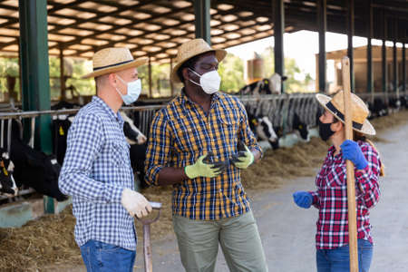Farmers in protective masks discussing working process near stallの写真素材