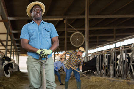 African American cow breeder standing in outdoor cowshedの写真素材