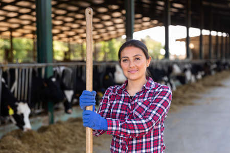 Latino american female farmer standing at the cow farmの写真素材