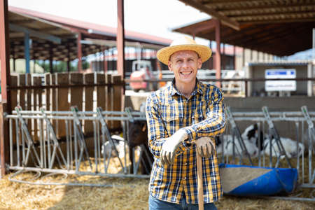 Male farmer posing in cowshed at the cow farmの写真素材