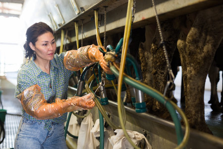 Woman working at milking line at farm