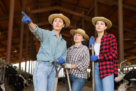 Female farmers talking and pointing at cowshedの写真素材