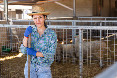 Portrait of a asian woman farmer standing near alpaca pensの写真素材