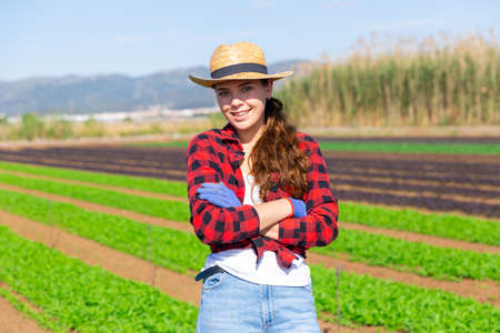 Woman farmer posing on leaf vegetables fieldの写真素材