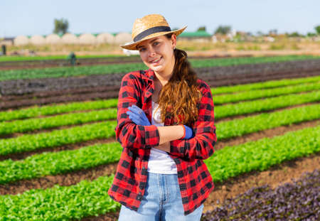 Woman farmer posing on leaf vegetables fieldの写真素材