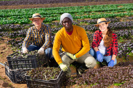 Smiling professional farmers men and woman posing on plantationの写真素材