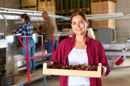Woman farmer standing with boxes full of cherry
