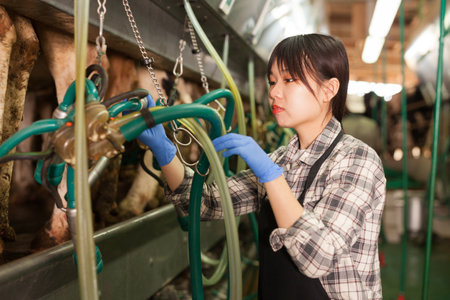 Milkmaid in apron in barn with automatical cow milking machinesの写真素材