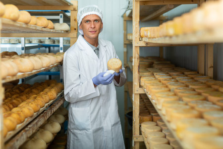 Cheese dairy worker checks the quality of cheese