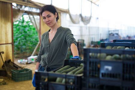 Woman carrying box full of cucumbersの写真素材