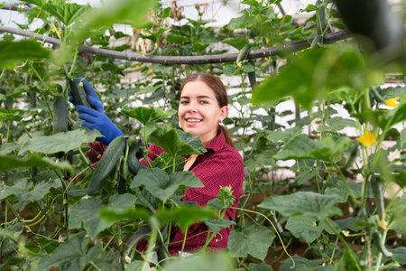 Woman with cucmbersの写真素材